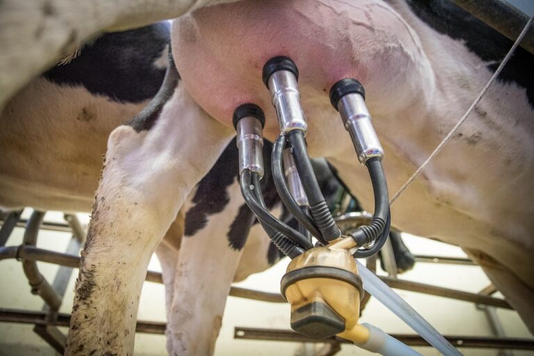 How to Clean Saeco Milk Frother