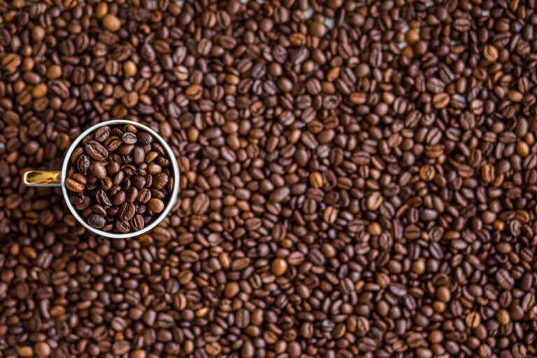 How to Replace Saeco Brew Unit Seal Rings